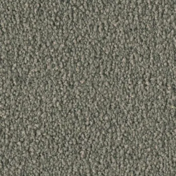 Vorwerk Violetta 7H43 – Draufsicht Teppichboden Farbe 7H43 ohne Badge